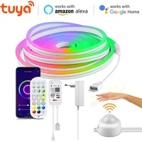 Bande lumineuse LED intelligente 12V avec contrôle par application Wifi, lumière néon RGB, veilleuse avec capteur de mouvement PIR, ruban en silicone à intensité variable, assistant vocal