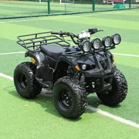 48V/500W Adults Electric ATV Quad Quad Bikes Atv Beach Buggy Mountain ATV