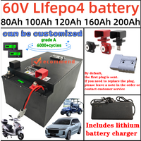 60V 100Ah 120Ah 150Ah 200Ah lithium Lifepo4 EV battery pack with BMS and charger for for electric trike moped golf cart vehicle