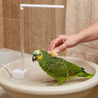 Automatic Parrot Bathing Pump Low Noise Large Water Flows Bird Bath Fountain Energy Saving Circulating Water