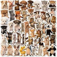 50Pcs Funny Cat Stickers Cute Animals Decals For Laptop Scrapbook Luggage Guitar Helmet DIY Graffiti Aesthetic Stickers