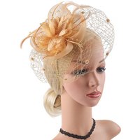 Fashion Tulle Petal Mesh Flower Headwear Veil Feather Headpiece Festival Headpiece Cocktail Tea Party