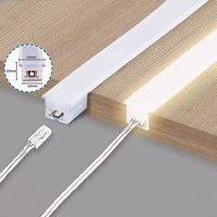 Kit de bande lumineuse néon Led en Silicone, bibliothèque, armoire de cuisine, bande de lampe, capteur tactile à intensité variable, lampe néon Flexible, éclairage d'ambiance