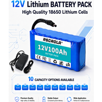 AliExpress Rscrola 12V 10Ah-100Ah 18650 Li-ion Battery Pack Built-in BMS + Free Charger Deep Cycle Replace Lead Acid for Solar LED RC Power Supply