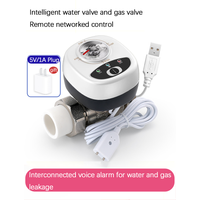 eWelink APP WiFi Smart Valve Water Gas Shutoff Automated Ball Valve DN15/DN20/DN25 Wireless Control For Alexa Google Alice