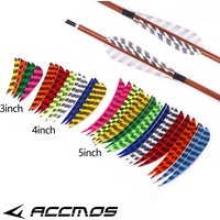 50pcs Arrow Feather 3inch/4inch/5inch Real Turkey Archery Feather Natural Plumage For DIY Fletching Arrows Accessories Hunting