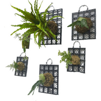 Black Thickened Staghorn Fern Board Orchid Fern Dendrobium Planting Board Plant Bed Board Plastic Gardening Hanging Board