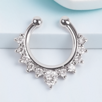 1PC Fashion Rhinestone Nose Ring Lip Ring Faux Septum Rings Unisex Jewelry Perfect for Women Men Stylish Earring Set