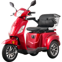1000w VISTA-1 Disabled Tricycle 3 Wheel Electric Mobility Scooter Elderly Adults