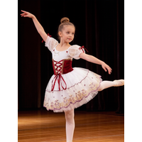 Girls' & Women's Red Long Ballet Dress Modern Swan Dance Professional Performance Costume for Stage Party Recital