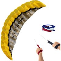 NEW High Quality 2.5m Yellow Dual Line Parafoil Kite WithFlying Tools Power Braid Sailing Kitesurf Rainbow Sports Beach