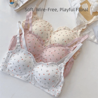 Breathable Seamless Bra Seamless Non-wire Wireless Underwear Adjustable Shoulder Strap Comfortable To Wear Push Up Underwear