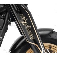 Für Benda NAPOLEON 450 Motorrad Stoßdämpfer Aufkleber WP Suspension Gabel Stoßdämpfer Aufkleber Motorrad Zubehör