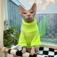 TONG Warm and Soft Four-Legged Hoodie for Winter Hairless Cat Clothes for Sphynx Cats Devon Rex Cornish