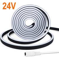 24V High Power Black Neon LED Strip Light 120leds/M Silica Gel Tube LED Lights Tape Bedroom Wall Kitchen Cabinet Backlighting