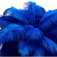 10pcs Blue Ostrich Feathers for Wedding Party Table Centerpiece Carnival Natural Ostrich Plume 35-40cm Vases Home Craft Decor