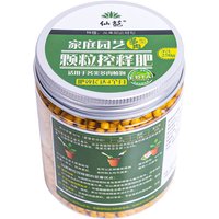 Navigateur universel pour bonsaï à dégagement lent, jardon, fleur, plantes, pot, composé succulent, 125g, 250g