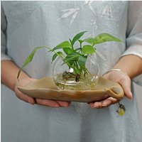 Brazilian Wood Hydroponic Plant Lucky Wood Tray Coarse Pottery Saucer Creative Drip Catcher for Succulent Flower Pot Base Stand
