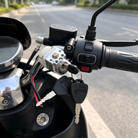 Bigger Head Type E-bike Ignition Switch On/Off Key Lock for Electric Bicycle Li-ion Battery Casing