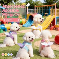 Angel Wing Dog Harness with Leash Set No Pull Mesh Vest Harness Water Resistant Anti Escape Pet Walking Harness for Small Dogs
