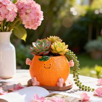 Cute Orange Shape Planter Pot with Smiling Face and Wooden Base for Succulent Plants Indoor Outdoor Home Decor Unique Gift