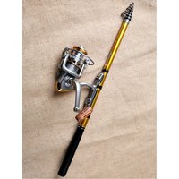 Telescopic Mini Fishing Rod for Outdoor Travel Pesca Pole Fishing Tackles Tools