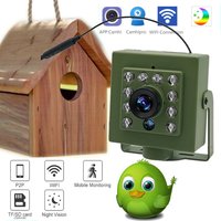 Green Wifi Bird Box Camera Audio 1920P 1080P IR CUT Night Vision RTSP FTP Mini IP IPC Pet Nest Bird Watching 2.8mm Lens Camhi