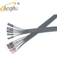 Angitu 30cm Front Panel Power+, Power-, Reset, Power SW, HDD Extension Cable Computer Front Panel 2Pin Dupont Jumper Cable
