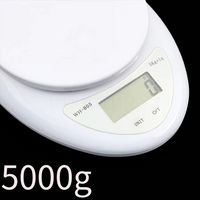 Mini Electronic Scales Steelyard Portable Digital Scale LCD Kitchen Scales 5kg1g Postal Food Balance Measuring Weight Libra Tool