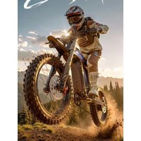 AliExpress Shengmilo S900 Pro Adult Electric Dirt Bike,3000W Brushless Motor 150N·M Torque,60V 35AH 2100WH Lithium Battery,Hydraulic Oil Brake,19 Inch 70mm All-Terrain Wide Tire, 7-Speed E-Bike with Color LCD