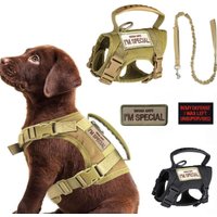 Tactical Harness Vest Dog Harness Leash Set for Small Dogs Training Easy Control Vest Pet Chest Strap Accessories for Puppy Cat