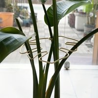 Large Hanging Plant Rack, Iron Hook, Fixed Plants, Corrective Plants, Suitable for Flower Pot Decoration, Indoor and Outdoor Use