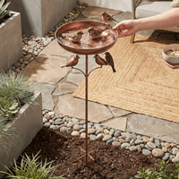 Rustproof Metal Iron Bird Bath Feeder 5 Claw Ground Plug Standing Bowl Freestanding Birdbath Vintage Heavy Duty