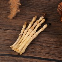 Paw Bone Specimen Taxidermy Collection Paw Skeleton Specimen For Science Education Decoration