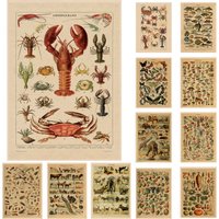 Vintage Vegetable Fruit Mushroom Print Posters Antique Art Botanical Pictures Science Poster Kraft Paper Unframed Wall Stickers
