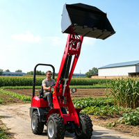 Mini Wheel Loader CE EURO 5 Engine 4x4 Articulated Compact Loader Customizable Farm Construction Use