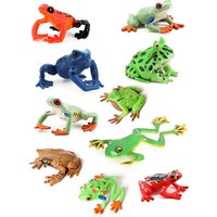 AliExpress XPFigures Frogs Models Wild Animals Figurines Plastic Animals Toy Simulation Tadpole Hatch Frog Growth Cycle Action Figure Toys for Kids