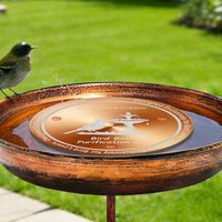 Copper Bird Bath Cleaning Disc Round Solid Structure Purify Stagnant Water For Concrete Ceramic Basin Solar Warmed Bird Bath