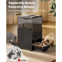 5L Automatic Cat Kibble Dispenser 2 Bowls Smart Voice Recorder Pluggable Control Panel Auto Cat Food Dispenser For Pet Dry Food
