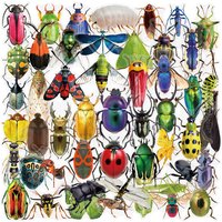 50Pcs Transparent PET Sticker Realistic Insect Cartoon Stickers DIY Scrapbook Laptop Suitcase Car Cool Graffiti Decal Pack