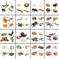 AliExpress soulbao Animal Growth Cycle Model Children's Toys Montessori Teaching Aids Plant Animal Growth Cycle Model Set Preschool Cognitive Toys