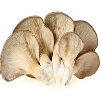 Restaurant Desktop Decoration Crafts, Pu Simulation Food, Mushroom Cabinet Model, Decorative Props, 2 Pcs per Lot