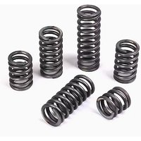 Wire Dia 2 Outer Dia 10-40 Length15-120 Manganese Steel Pressure Spring Compression spring High Elastic Blackening Spring