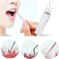 7pcs/set Reusable Stainless Steel Toothpick Set with Toothpick Holder Keychain Design Tartar Removal Tool Oral Clean