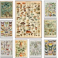 Vintage Wall Art Plants Mushroom Posters And Prints Flower Insect Butterfly Vegetable Pumpkin Carrot Canvas Painting Room Decor