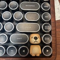 Animal Party Personalized Keycaps Crocodile Tiger Otter Up And Down Key Resin Mechanical Keyboard Single Esc Cartoon Keycap Gift