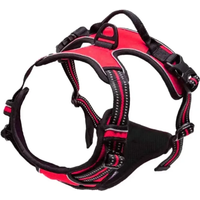 Reflective Adjustable Breathable Vest Chest Strap for Small Medium Large Dogs Pet Dog Harness Cat Puppy Collar Dog Accessoires