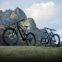 Amflow E Bike Amflow Pl Carbon 800 Wh - L Equipped With Aviox 508w Fast Charging Charger