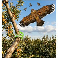 Colorful Brand New Outdoor Realistic Bird Repellent Kite, High-Altitude Hanging High-Efficiency Bird Repellent Device