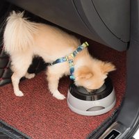 Floating Anti-Splash Pet Water Bowl, No Wet Mouth Plastic Feeder Portable Travel Bowl for Dogs Cats Home Pet Accessories